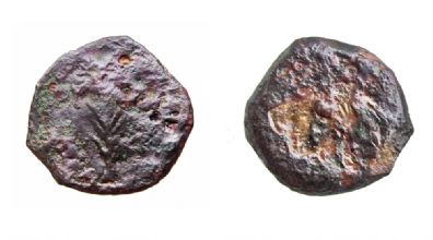המטבעות שהוטבעו לאחר מותו של הורדוס (צילום: ולדימיר נייחין)
