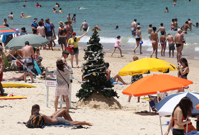 אין שלג, אבל באוסטרליה לא מוותרים על עץ האשוח  (צילום: AP)