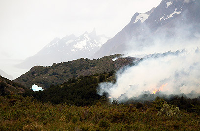 אזור השריפה בצ'ילה. "הולכים בסופרים ומקללים" (צילום: AFP)