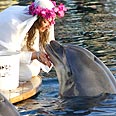 woman Married dolphin