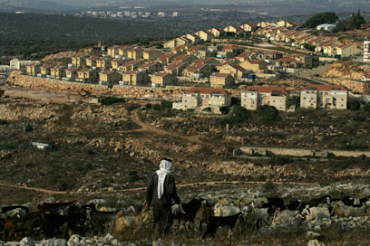 המועצה תבדוק את השלכות ההתנחלויות על הפלסטינים (צילום: AP)