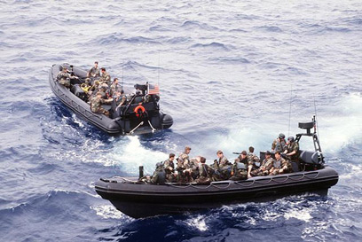 יחידת "אריות הים" בפעולה (צילום:  AFP PHOTO/ US NAVY )