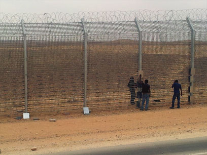 מעבים את גדר הגבול במצרים (צילום: יואב זיתון)