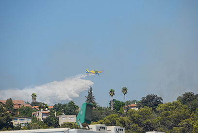 מטוס כיבוי מסייע בשריפה מעל טבעון (צילום:  זיו רוזנצוויג)