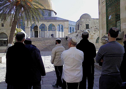 יהודים מתפללים בהר הבית (צילום: באדיבות המטה המשותף של תנועות המקדש)