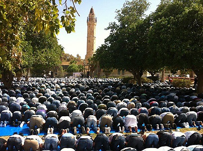 תפילה המונית במסגד (צילום: סארי אבו סעלוק)