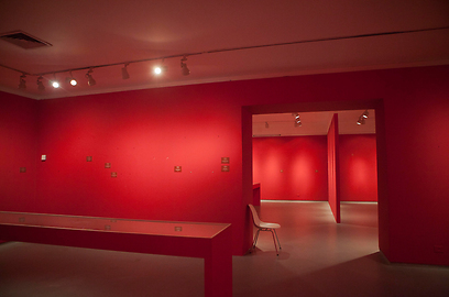 הקירות החשופים בתערוכת שושלת ברויגל במוזיאון תל אביב (צילום: AP)