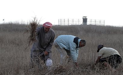 חקלאים פלסטינים, ליד הגדר (צילום: AFP)