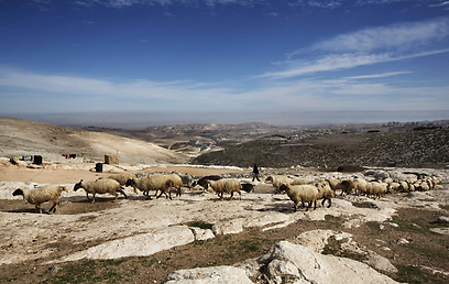 שטח E1 ליד ירושלים (צילום: AFP)