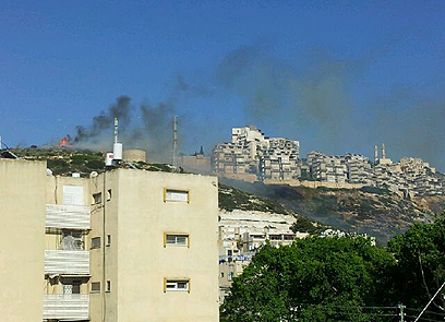 השתלטו על האש בחיפה  (צילום: אושר טקאטש)