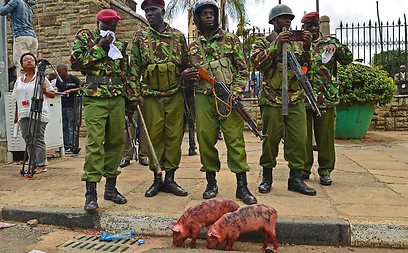 חיילים וחזירונים בניירובי (AFP)
