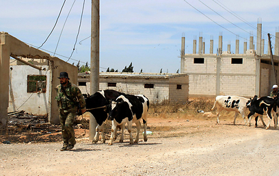 צבא אסד בקוסייר (צילום: רויטרס)